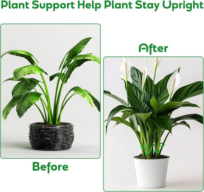 Plant Stem Support Set, 8Pcs 4 Sizes Plant Trellis Rings for Climbing Plants Indoor, Support Holder