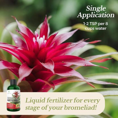 Professional Liquid Bromeliad Plant Fertilizer | 3-1-2 Concentrate for Plants and Flowers |