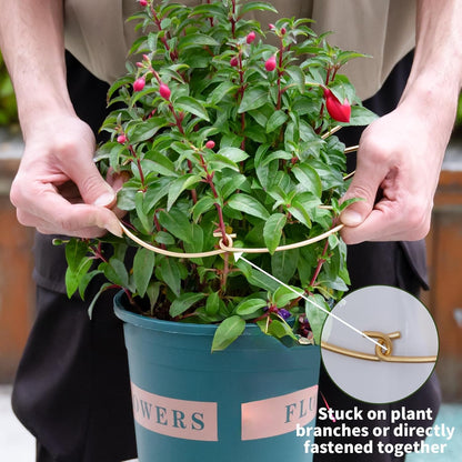 5PCS Durable Monstera Plant Stem Support Stake with Adjustable Leaf Holders - Plant Support Kit for