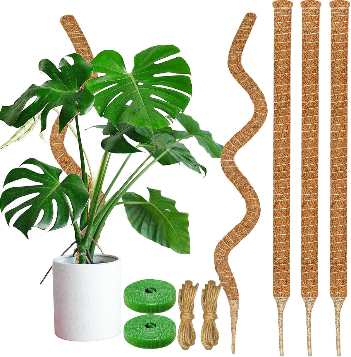 4 Pack Moss Pole, 63-Inch Moss Poles for Plants Monstera,Bendable Plant Support Stakes for Climbing