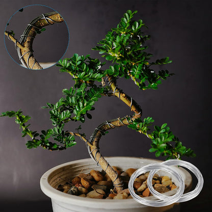 PATIKIL 1.5mm Bonsai Training Wire, 2 Rolls Floral Wire Stems Anodized Aluminum Tree Wire 65.6 Feet