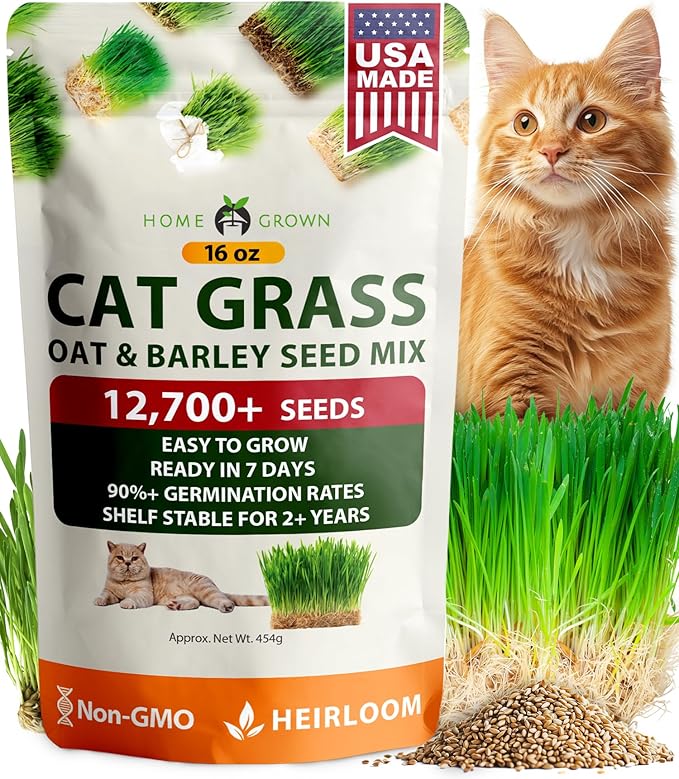 HOME GROWN 𝗨𝗦𝗔 𝗣𝗥𝗘𝗠𝗜𝗨𝗠 1 Pound Cat Grass Seeds for Cat & Kittens Oat & Barley Mix 100%