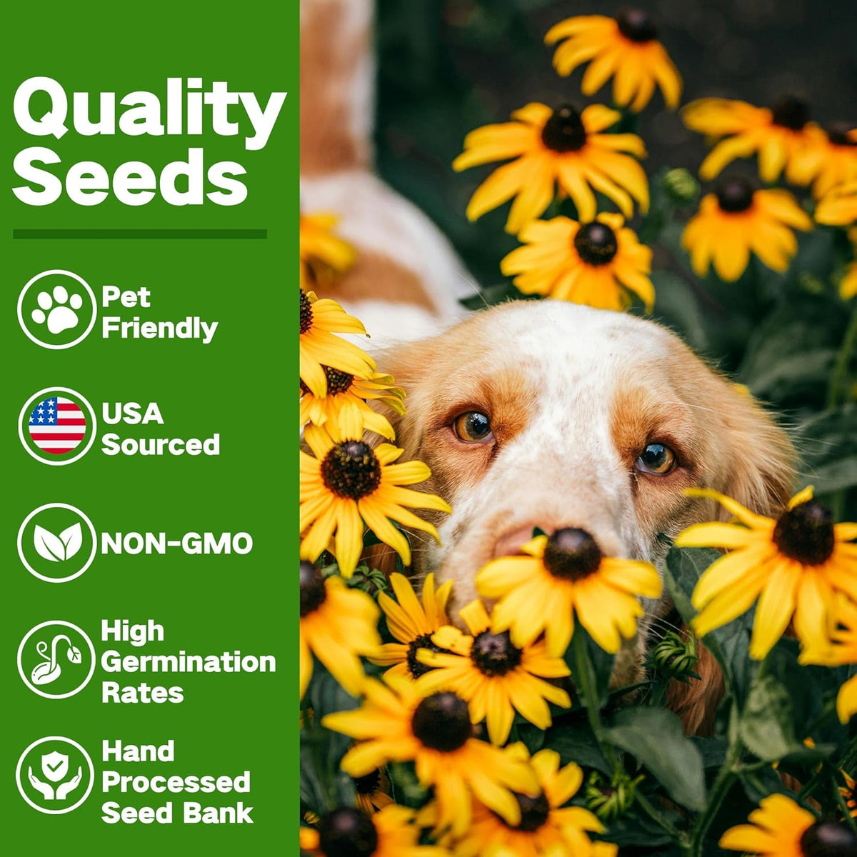 Lush&Dew Pet-Friendly Heirloom Seed Bank, Gardening Gifts for Women Men, 16 Varieties 15,000+