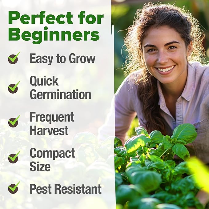 HOME GROWN 𝗨𝗦𝗔 𝗣𝗥𝗘𝗠𝗜𝗨𝗠 Genovese Basil Seeds Pack 1,750+ High Germination 𝗡𝗢𝗡-𝗚𝗠𝗢
