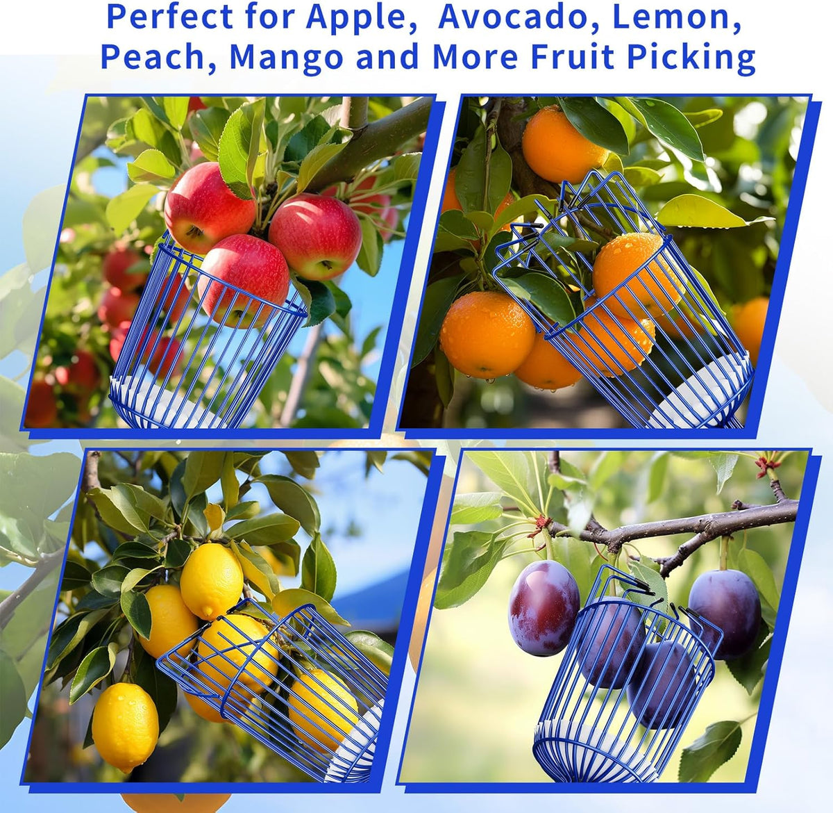 Fruit Picker Pole with Basket Segmented Fruit Picker Pole Tool for Apple Avocado Cherry Lemon Mango
