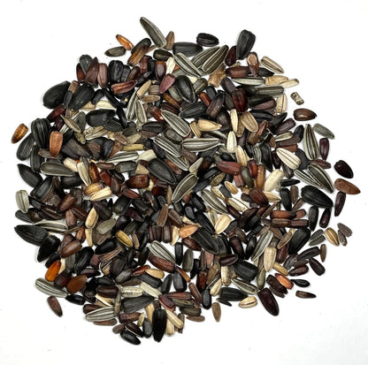 Seed Needs Sunflower Seeds to Plant The Original Crazy Blend | 500+ Heirloom Seeds 15+ Varieties