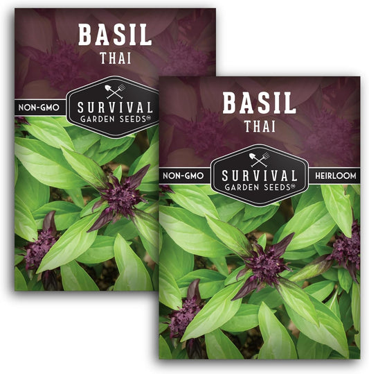 Survival Garden Seeds - Thai Basil Seed for Planting - 2 Packets with Instructions to Plant and