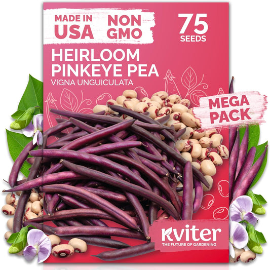 KVITER 75 Top Pick Pinkeye Cow Pea Seeds for Planting (Vigna Unguiculata) – Field Pea, Bush Purple