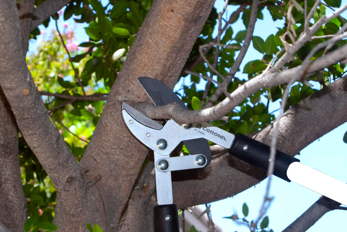 Corona Tools Compound Action Anvil Lopper – 32-Inch Heavy-Duty Branch Cutter for Tree Trimming &