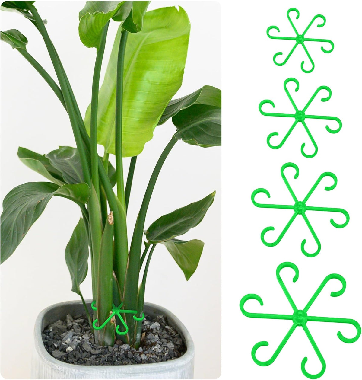 Plant Stem Support Set, 8Pcs 4 Sizes Plant Trellis Rings for Climbing Plants Indoor, Support Holder
