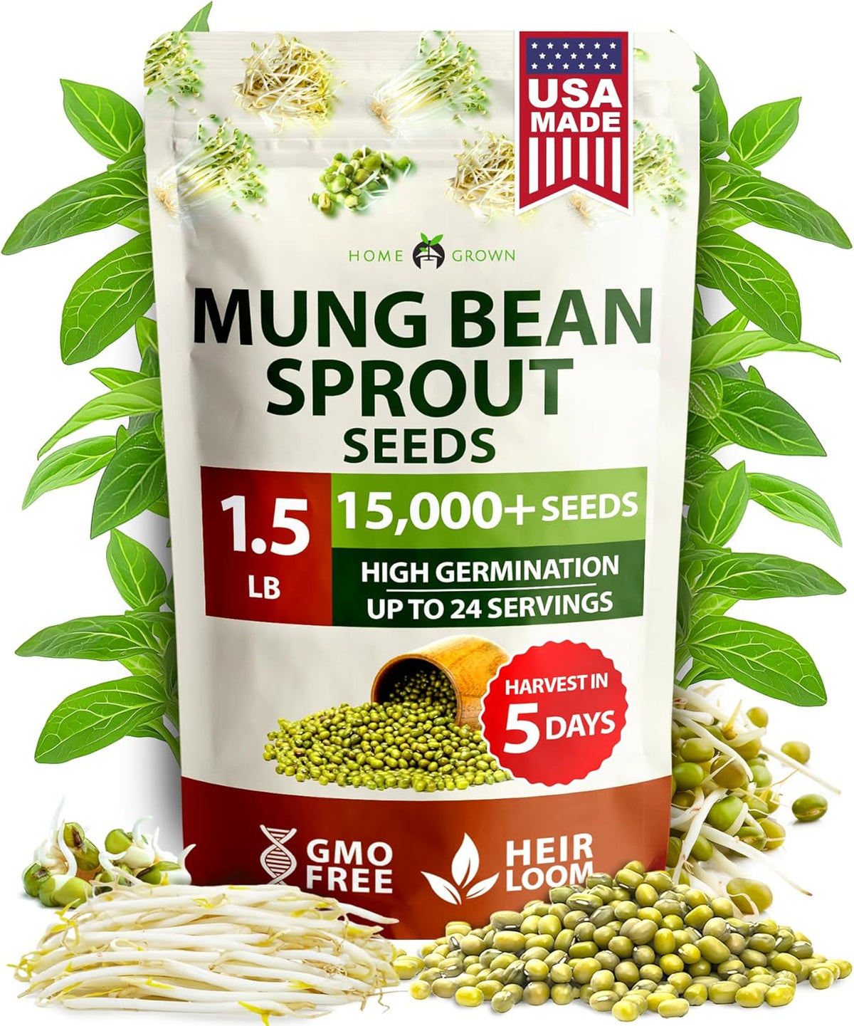 HOME GROWN Mung Beans Seeds Pack 1.5 lb – 𝗨𝗦𝗔 Over 15,000 Sprouting Seeds – Grow Fresh Mung Bean