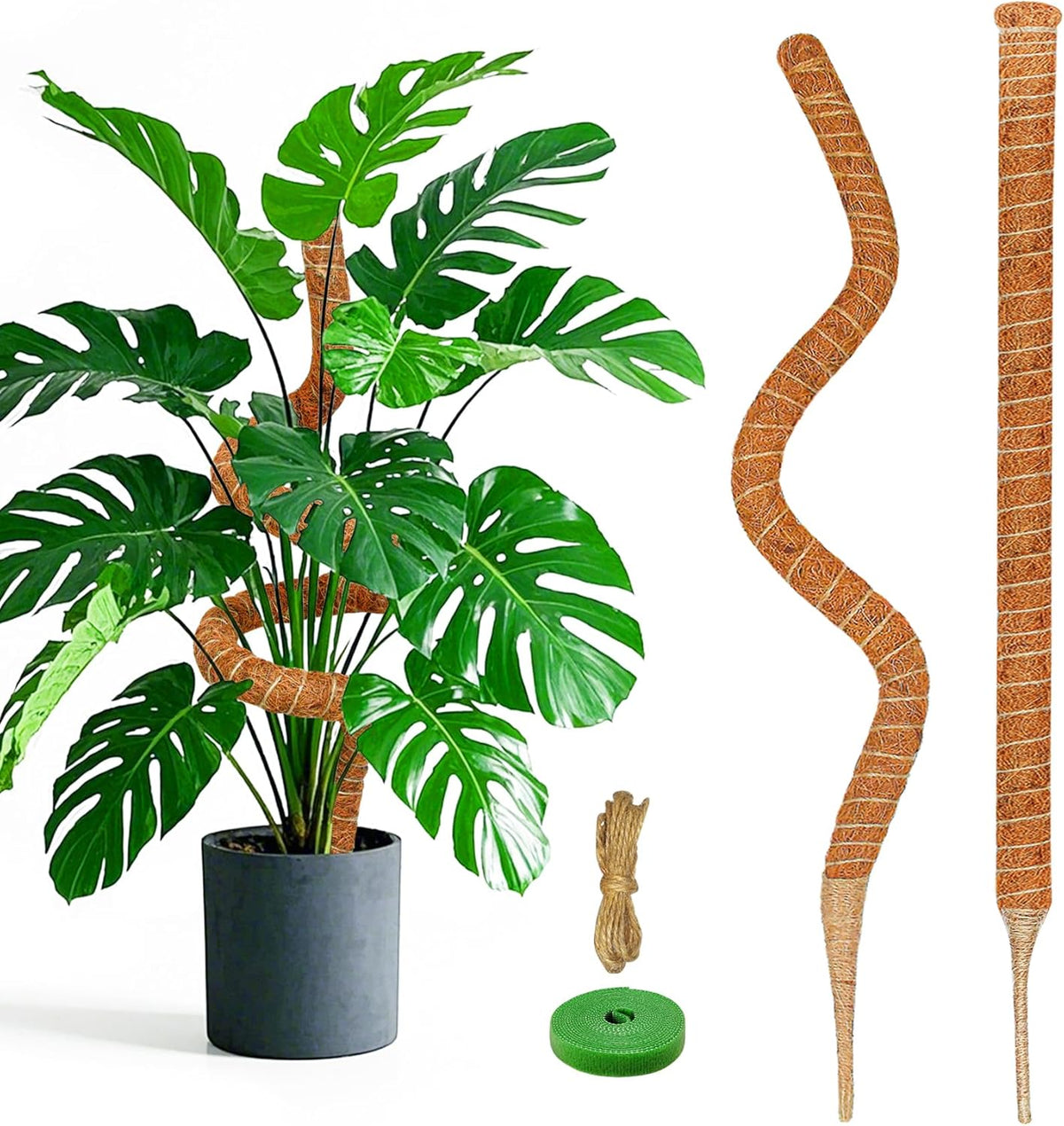 2 Pack 39 Inch Moss Pole Monstera Plant Support, Coir Moss Poles for Climbing Indoor Plants
