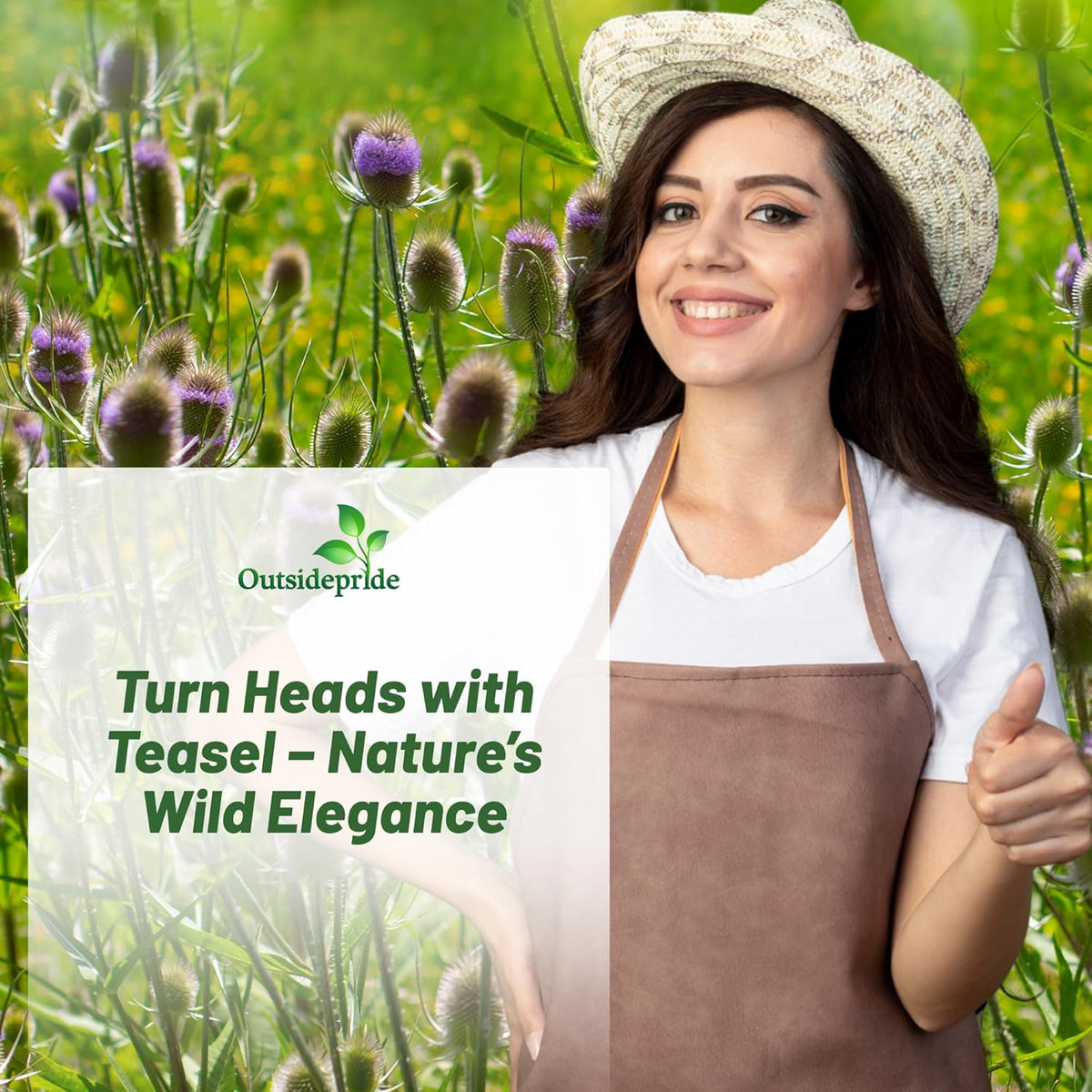 Outsidepride Teasel Seeds - 1000 Pcs. Biennal, Low Maintenance & Drought Tolerant, Flower Seeds for