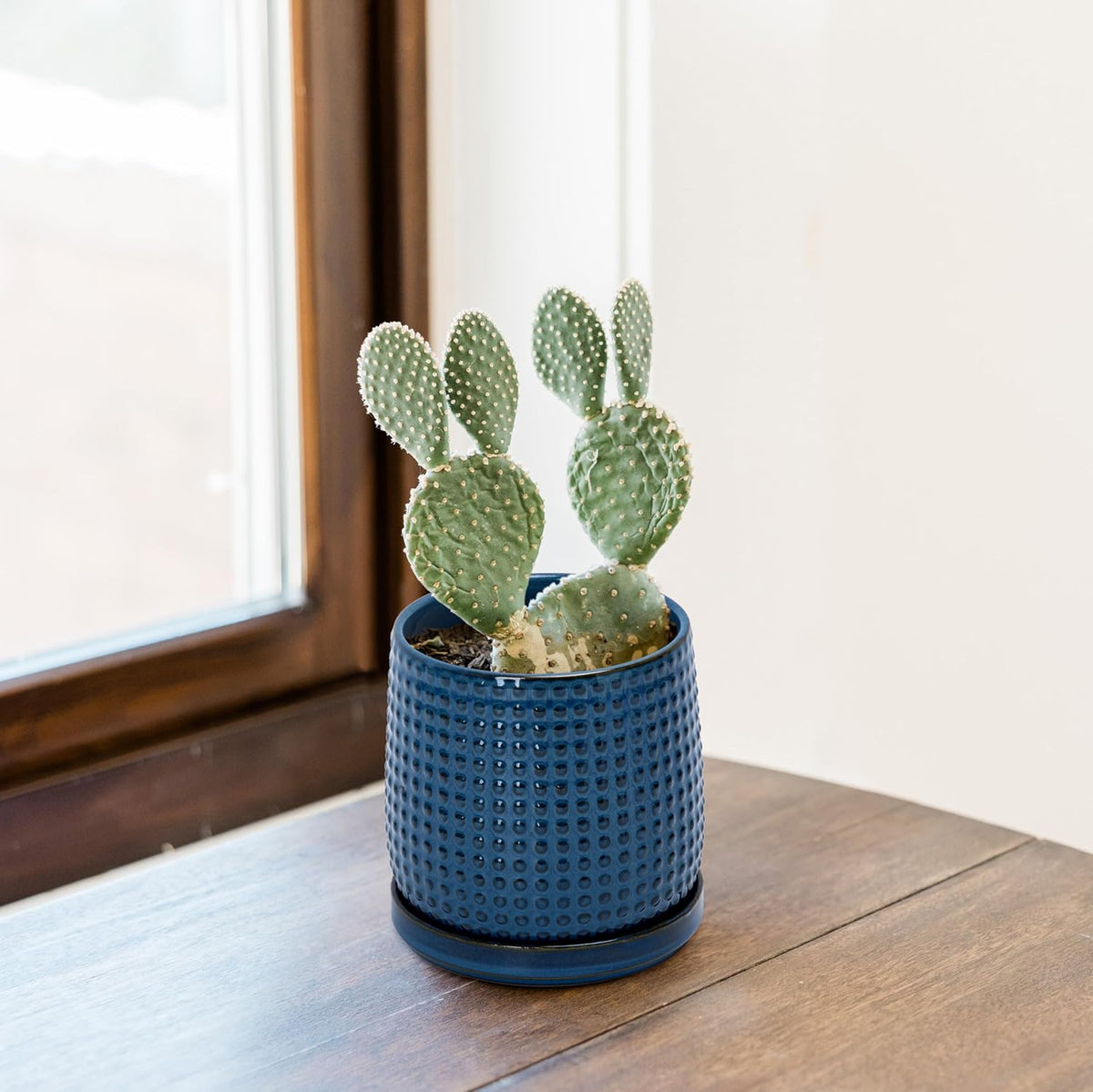 D'vine Dev 4 Inch Ceramic Beaded Stoneware Planter Pot - Flower Pot with Drainage Holes and Saucers