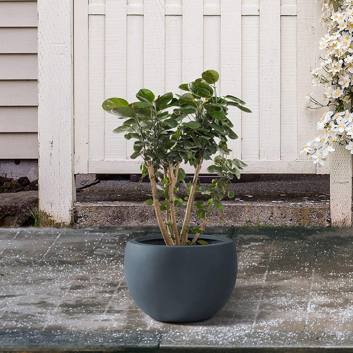 Kante 19.9" Dia Round Concrete Planter, Outdoor/Indoor Large Bowl Plant Pots with Drainage Hole and