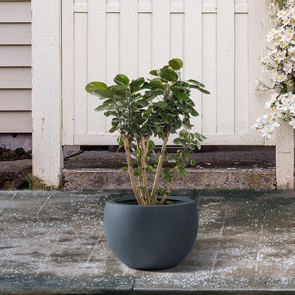 Kante 19.9" Dia Round Concrete Planter, Outdoor/Indoor Large Bowl Plant Pots with Drainage Hole and
