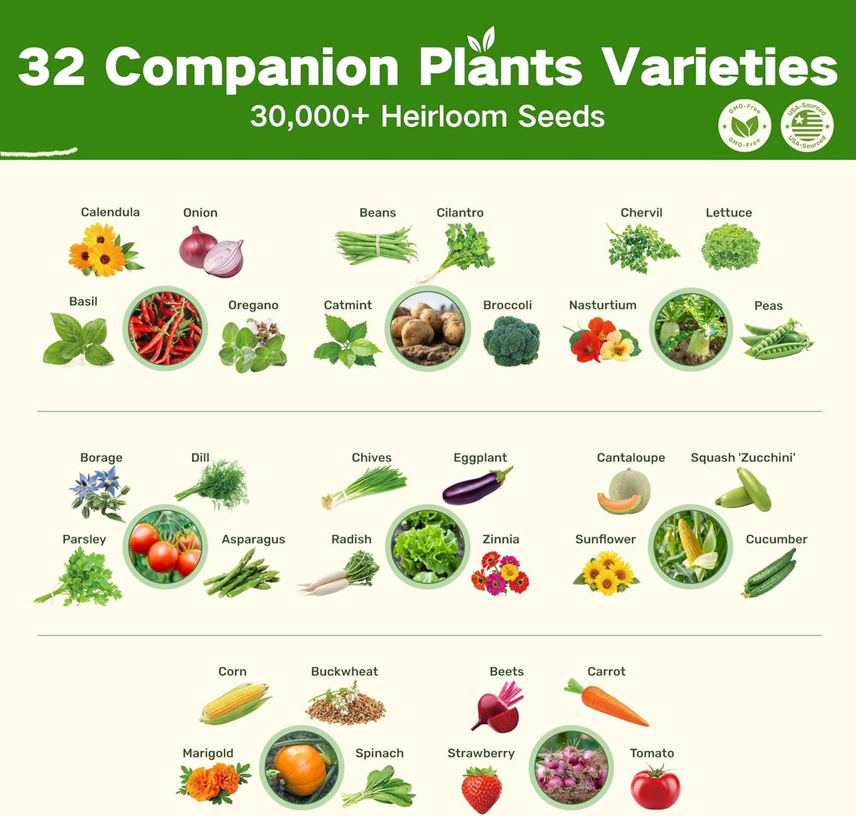 LUSH&DEW Companion Plants Heirloom Seed Bank, Gardening Gifts, 32 Varieties 30,000+ Non-GMO Fall