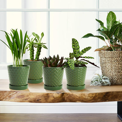 EFISPSS Ceramic Plant Pots, 5 Inch Planters with Drainage Holes and Ceramic Tray, Relief Design
