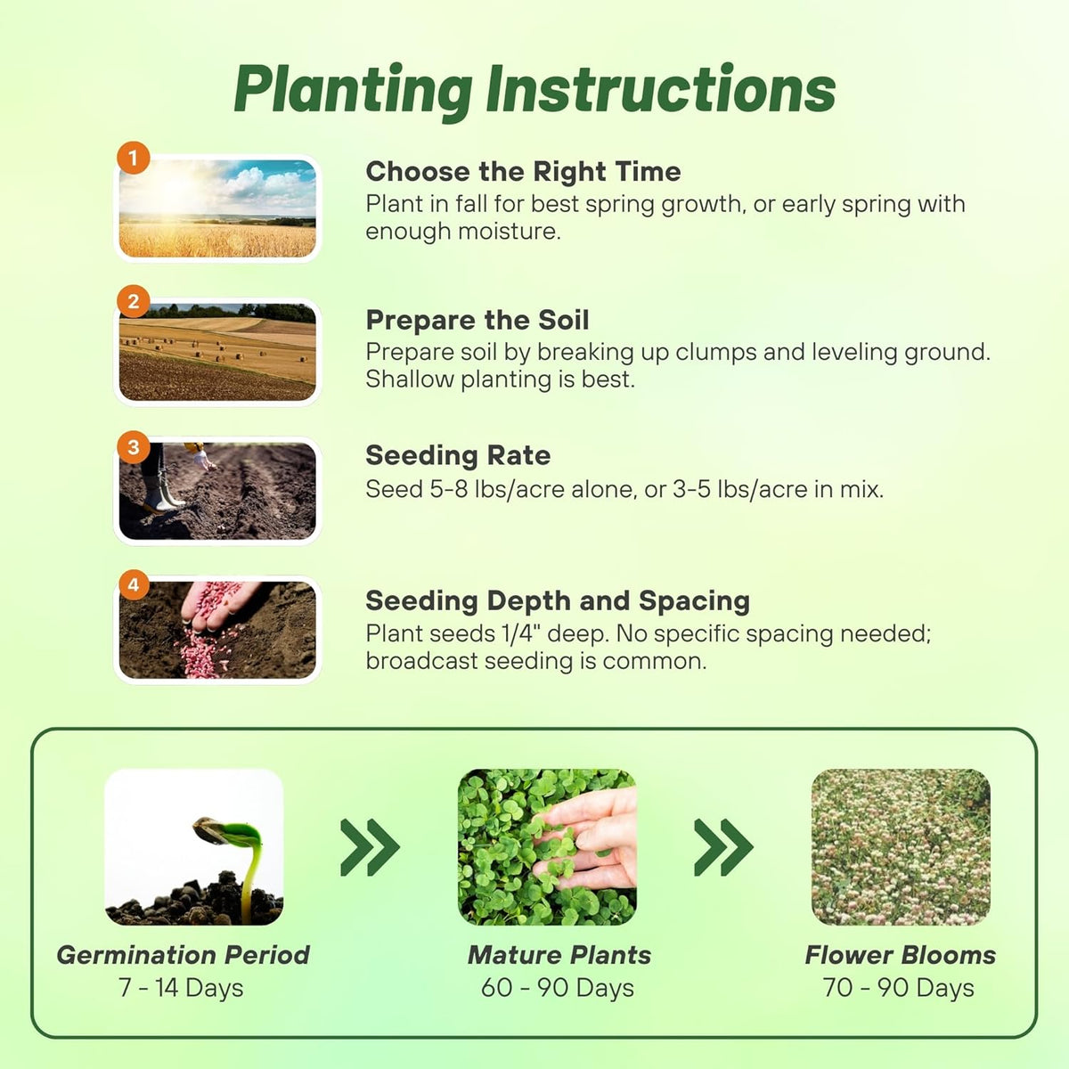 Outsidepride Fixation Balansa Clover Seeds for Lawn - 10 lbs. Coated & Inoculated, Cold Season