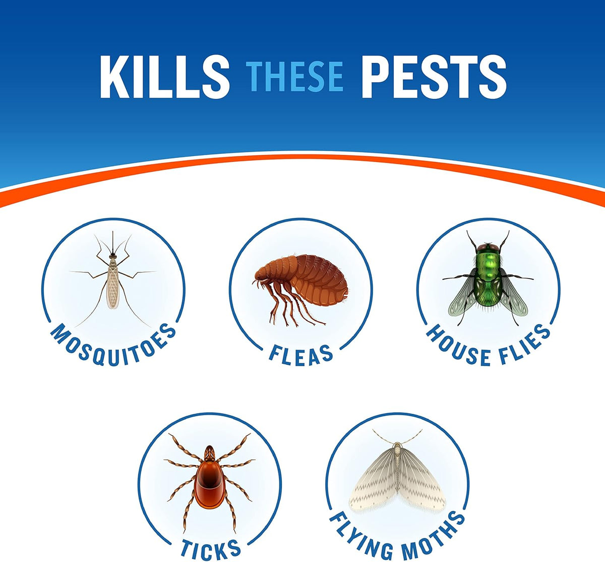 Cutter Backyard Bug Control Spray Concentrate (6 Pack), Kills Mosquitoes, Fleas & Listed Ants, 32