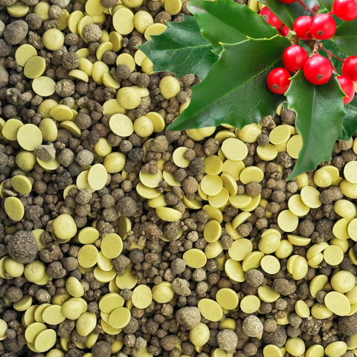 Quick-Release Soil Acidifier - Elemental Sulfur & Gypsum Mix - Hydrangea & Blueberry Fertilizer
