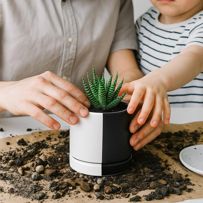 D'vine Dev 3.5 Inch Ceramic Planter Pot with Drainage Hole and Saucer, Indoor Cylinder Round
