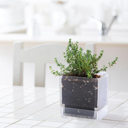 4 Inch Herb Planter Pot, Plastic Planter with Drainage Holes and Saucer, Modern Decorative