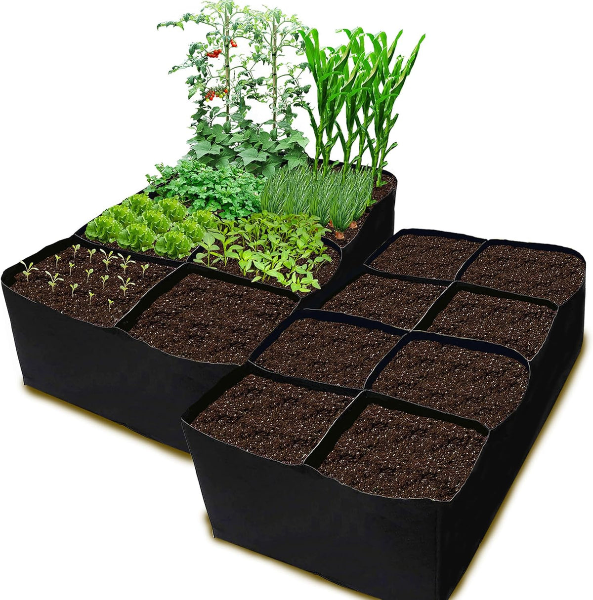 CJGQ 2 Pack Fabric Raised Garden Bed 6x3x1ft Garden Grow Bed Bags for Growing Herbs, Flowers and
