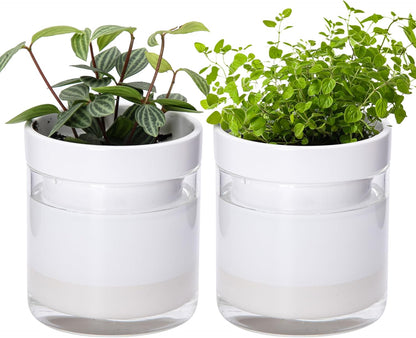 Phoenix Vine 4 Inch Self Watering Planter, White Terracotta Clay Pot with Glass Reservoir for