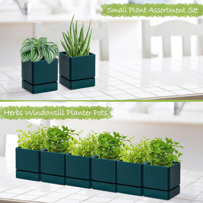 4 Inch Herb Planter Pot, Plastic Planter with Drainage Holes and Saucer, Modern Decorative