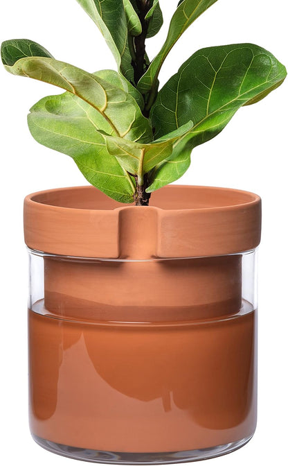 Phoenix Vine 10 Inch Self Watering Planter Pot, Terracotta Clay Pot with Glass Reservoir for Indoor