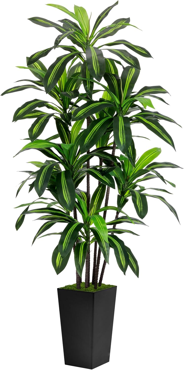 Artificial Dracaena Tree 6FT - Faux Tree with Black Tall Planter - Fake Tropical Yucca Floor Plant
