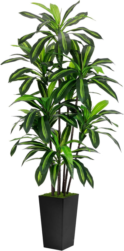 Artificial Dracaena Tree 6FT - Faux Tree with Black Tall Planter - Fake Tropical Yucca Floor Plant