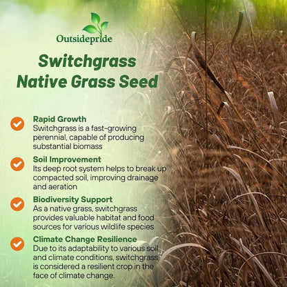Outsidepride Switchgrass Seed - 25 lbs. Perennial Hardy, Drought & Flood Tolerant Native Grass Seed