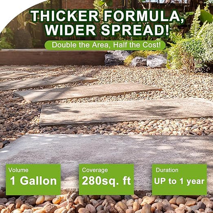 Teexpert 2 Gallon Rock Glue for Landscaping – Strong Pea Gravel Binder & Stone Adhesive for