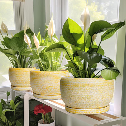 SQOWL Ceramic Flower Pots - 8 inch Plant Pot Indoor with Drainage Hole and Saucer, Modern Ceramic
