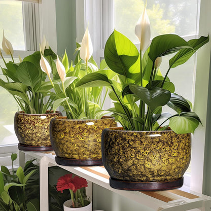 SQOWL 10 Inch Plant Pot - Ceramic Flower Pots with Drainage Hole and Saucer, Ceramic Planter for