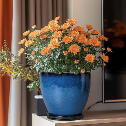 8 Inch Planter - Ceramic Plant Pot with Drainage Hole and Tray Round Planter Modern Flower Pot for