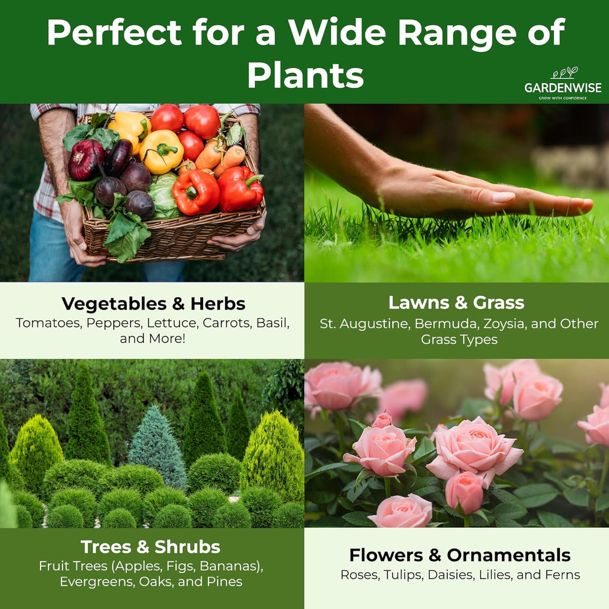 13-13-13 Slow Release Granular Fertilizer – All Purpose Plant Food 13 13 13 for Outdoor Grass