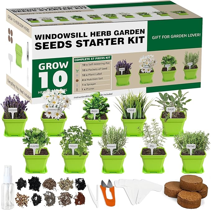 10 Herb Seeds Garden Starter Grow Kit with Green Pots, Markers, Nutritional Soil, Watering, Herb