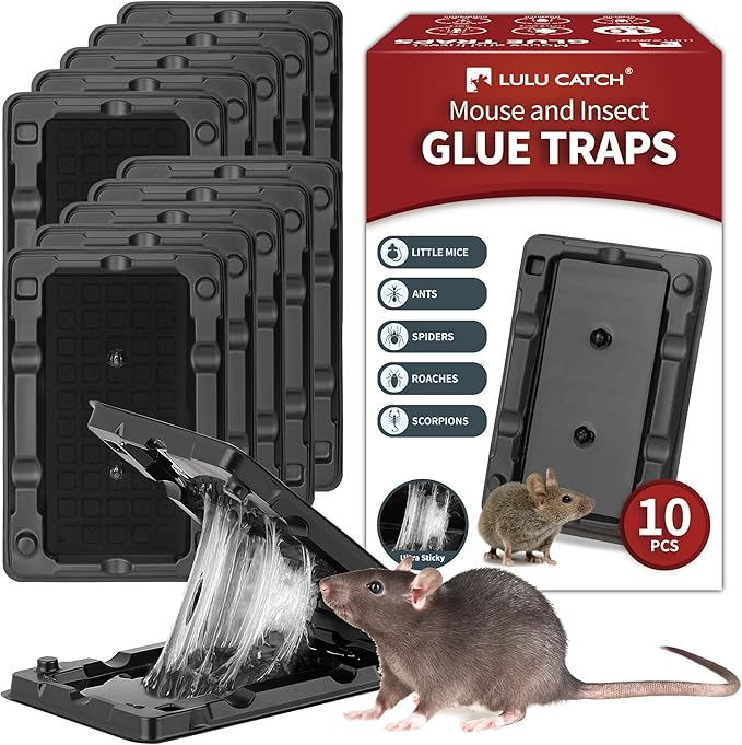 LULUCATCH Mouse & Insect Glue Traps, 10 Pack Pre-Scented Sticky Mouse Traps Indoor for Home