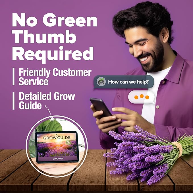 HOME GROWN 𝗨𝗦𝗔 𝗣𝗥𝗘𝗠𝗜𝗨𝗠 English Lavender Seeds 1,500+ 𝗡𝗢𝗡-𝗚𝗠𝗢 Wildflower Seed for