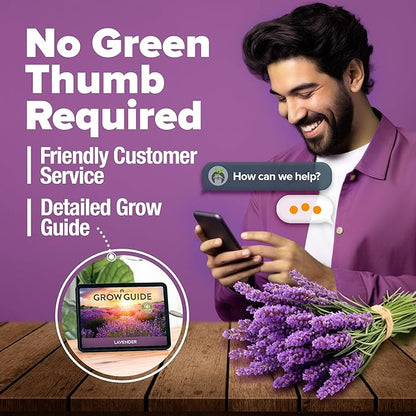 HOME GROWN 𝗨𝗦𝗔 𝗣𝗥𝗘𝗠𝗜𝗨𝗠 English Lavender Seeds 1,500+ 𝗡𝗢𝗡-𝗚𝗠𝗢 Wildflower Seed for
