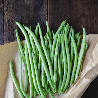 Blue Lake Bush Bean 274 Seeds - 5 Lbs - Non-GMO, Heirloom, Open Pollinated - Vegetable Garden Seeds
