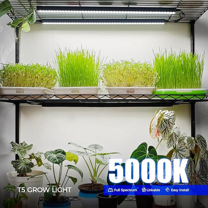 Barrina T5 Grow Lights for Indoor Plants, 2FT 5000K Full Spectrum LED Grow Light with Black Cover