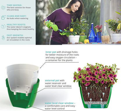 Santino AST 7.9 Inch Self Watering Planter Green-Gold/White for Indoor Plants - Premium Quality