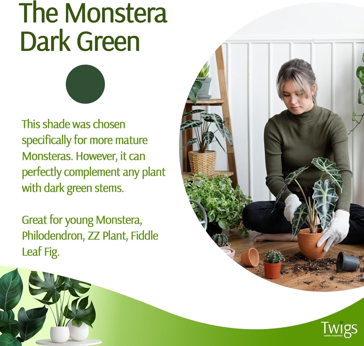 Twigs - Monstera Plant Support Stakes for Indoor & Outdoor Plants, Gardening Supplies, Garden