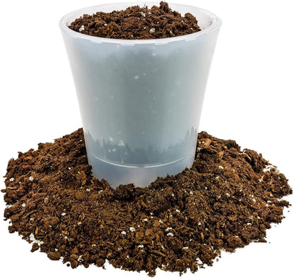GARDENERA Money Tree Potting Soil - 10 Quart - Soil Mix for Planting or Repotting Guiana Chestnut