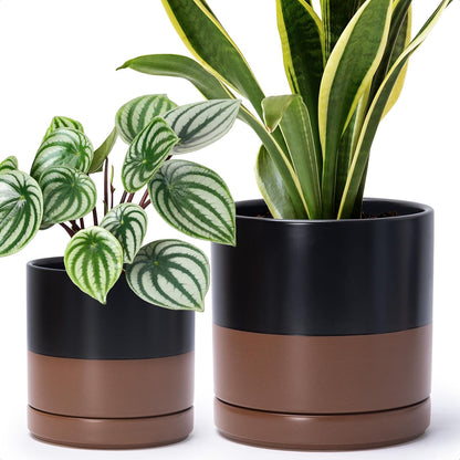 D'vine Dev 6.5 Inch & 8.2 Inch Ceramic Planter Pots for Plants with Drainage Hole and Saucer