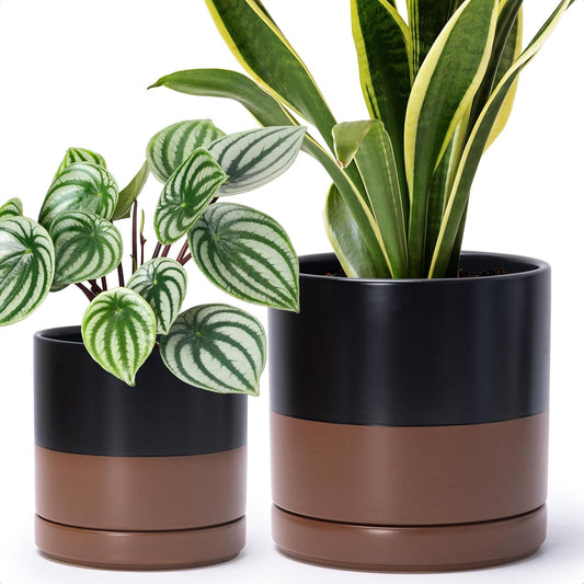 D'vine Dev 6.5 Inch & 8.2 Inch Ceramic Planter Pots for Plants with Drainage Hole and Saucer
